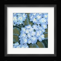 Blue Hydrangeas I Fine Art Print