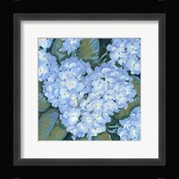 Blue Hydrangeas II Framed Print