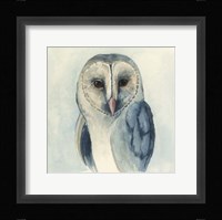 Midnight Aves II Framed Print