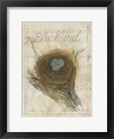 Nest - Blackbird Fine Art Print