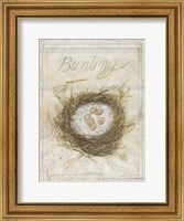 Nest - Bunting Fine Art Print