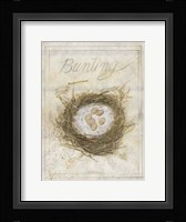 Nest - Bunting Framed Print