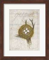 Nest - Goldfinch Fine Art Print