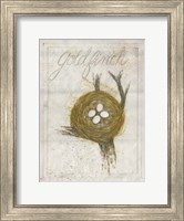 Nest - Goldfinch Fine Art Print