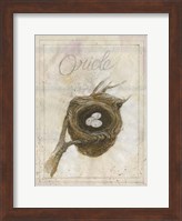 Nest - Oriole Fine Art Print