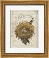 Nest - Sparrow Fine Art Print
