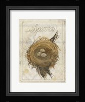 Nest - Sparrow Fine Art Print