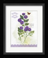 Flower Study on Lace II Framed Print