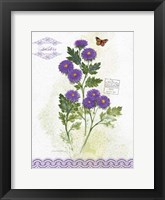 Flower Study on Lace II Framed Print