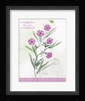 Flower Study on Lace III Framed Print