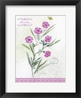 Flower Study on Lace III Framed Print