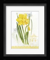 Flower Study on Lace V Framed Print