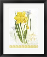 Flower Study on Lace V Framed Print