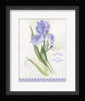 Flower Study on Lace VII Framed Print