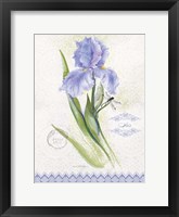Flower Study on Lace VII Fine Art Print