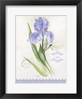 Flower Study on Lace VII Framed Print