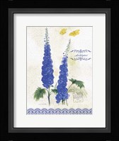 Flower Study on Lace VIII Framed Print