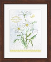 Flower Study on Lace X Fine Art Print