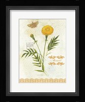 Flower Study on Lace XI Framed Print