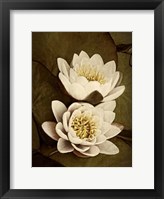 Lily Pad Duo Fine Art Print