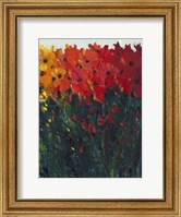 Color Spectrum Flowers I Fine Art Print