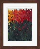Color Spectrum Flowers I Fine Art Print