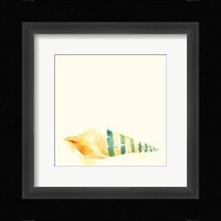 Tidal Impressions II Framed Print