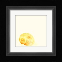 Tidal Impressions VI Framed Print