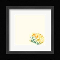 Tidal Impressions IX Framed Print