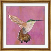 Sweet Hummingbird I Fine Art Print