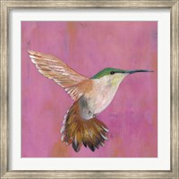 Sweet Hummingbird I Fine Art Print