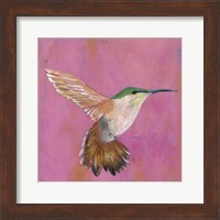 Sweet Hummingbird I Fine Art Print