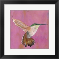 Sweet Hummingbird I Fine Art Print