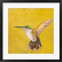 Sweet Hummingbird II Fine Art Print