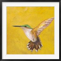 Sweet Hummingbird II Fine Art Print
