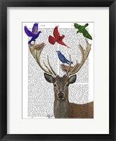 Deer & Birds Nests Fine Art Print