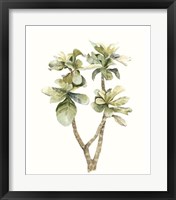 Tropical Watercolor Leaves III Framed Print