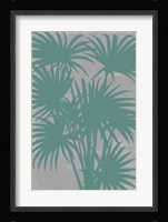 Chromatic Palms II Fine Art Print
