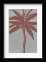 Chromatic Palms VII Fine Art Print