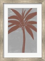 Chromatic Palms VII Fine Art Print
