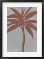Chromatic Palms VII Framed Print