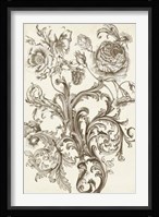 Flora & Filigree II Framed Print