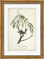 Delicate Bird and Botanical I Fine Art Print