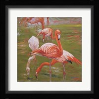Flamingo I Framed Print