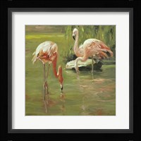 Flamingo II Framed Print