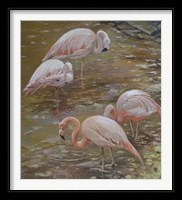 Pink Passion Fine Art Print