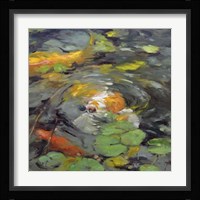 Golden Koi Fine Art Print