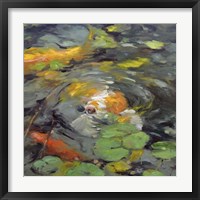 Golden Koi Fine Art Print