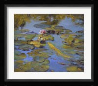Koi & Lilies II Fine Art Print