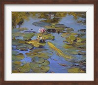 Koi & Lilies II Fine Art Print